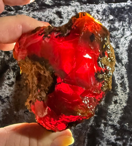 351 Gram Oregon Chocolate Fire Opal Rough