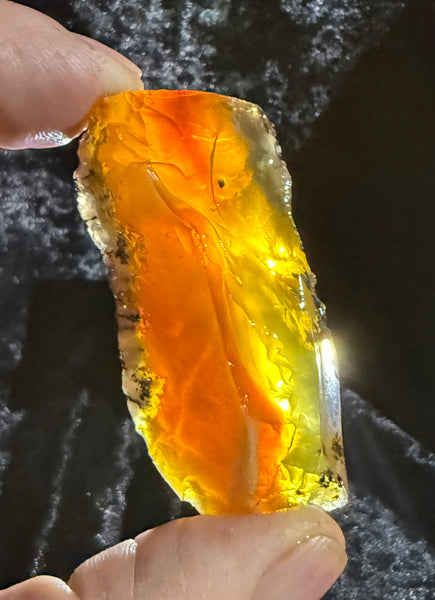 54 Gram Oregon Fire Opal Rough
