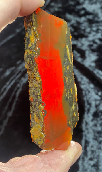 66 Gram Oregon Chocolate Fire Opal Slab