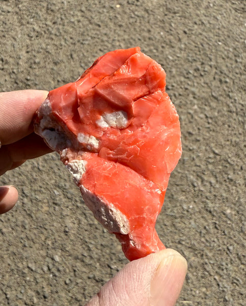 83 Gram Oregon Red Opal Rough