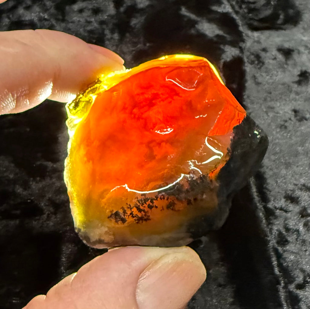 94 Gram Oregon Fire Opal Rough