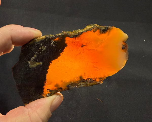 107 Gram Oregon Fire Opal Slab