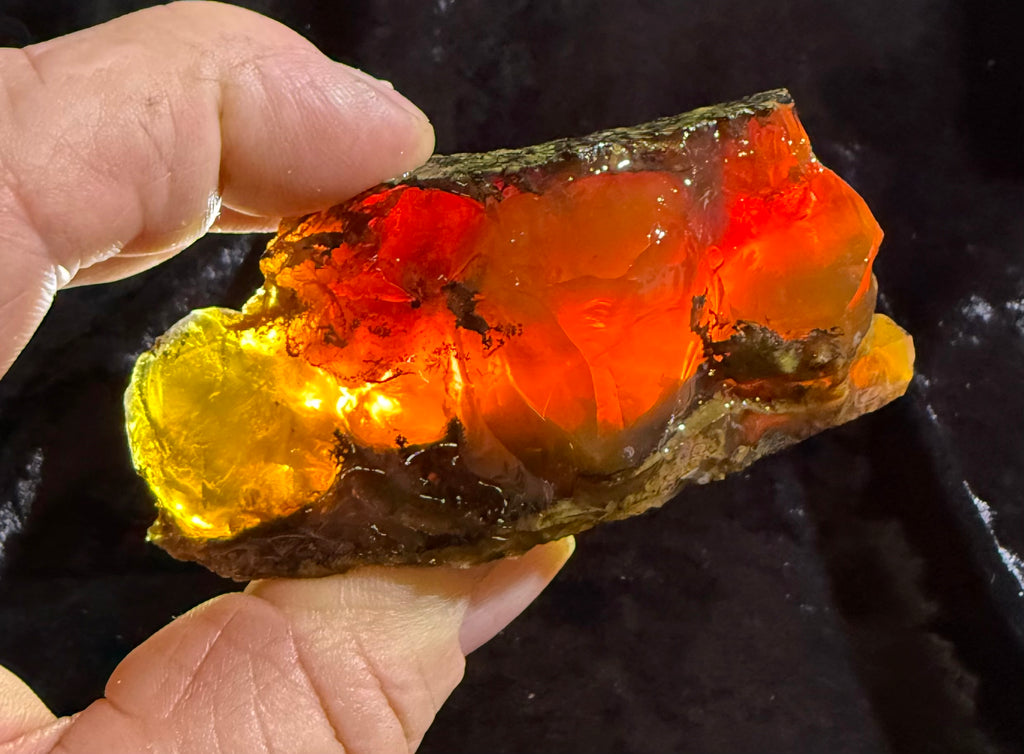 160 Gram Oregon Fire Opal Rough