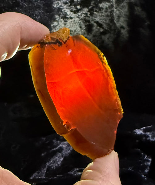77 Gram Oregon Chocolate Fire Opal Slab