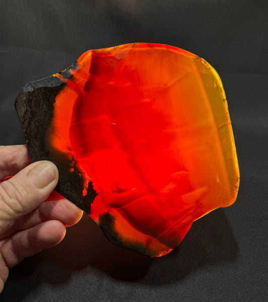 295 Gram Oregon Chocolate Fire Opal Slab
