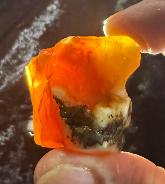 68 Gram Oregon Fire Opal Rough