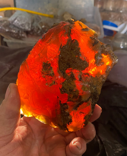 1137 Gram Oregon Fire Opal Rough