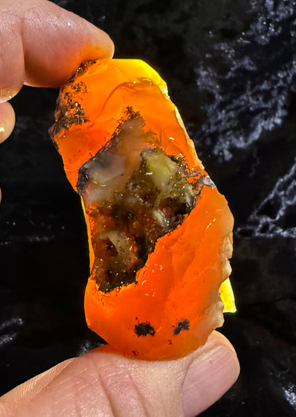97 Gram Oregon Fire Opal Rough