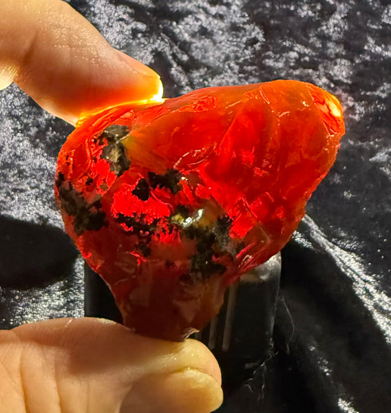 70 Gram Oregon Chocolate Fire Opal Rough