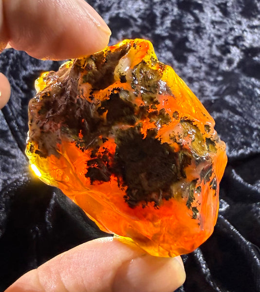 78 Gram Oregon Fire Opal Rough