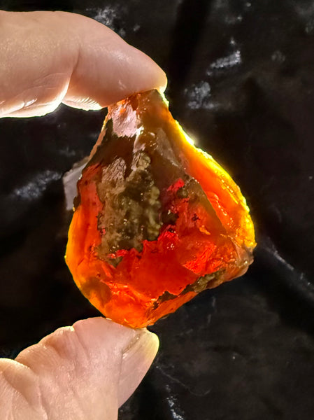 53 Gram Oregon Chocolate Fire Opal Rough