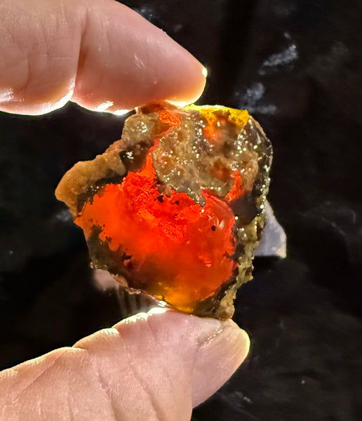 42 Gram Oregon Chocolate Fire Opal Rough