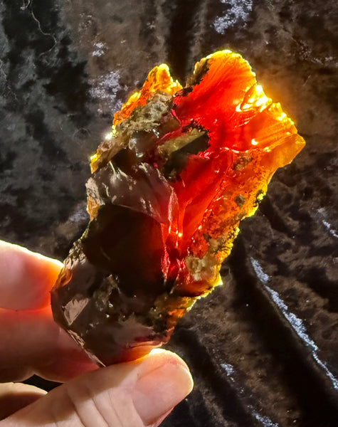 169 Gram Oregon Chocolate Fire Opal Rough