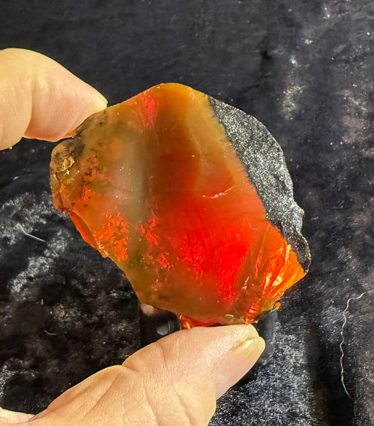 129 Gram Oregon Chocolate Fire Opal Rough