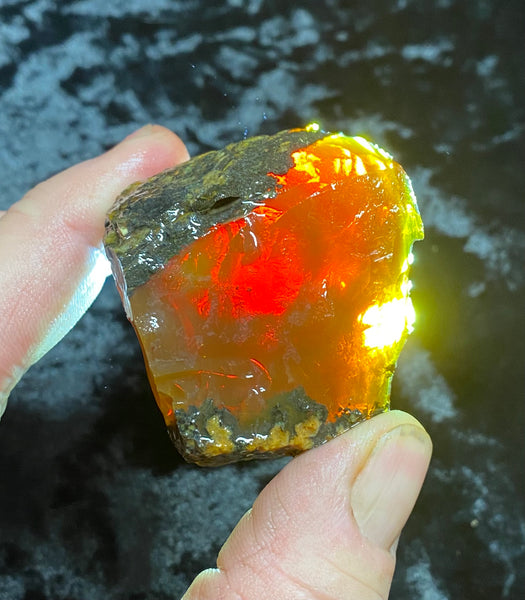 77 Gram Oregon Chocolate Fire Opal Rough