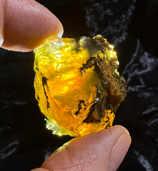 51 Gram Oregon Fire Opal Rough
