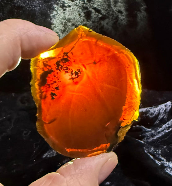 61 Gram Oregon Chocolate Fire Opal Slab