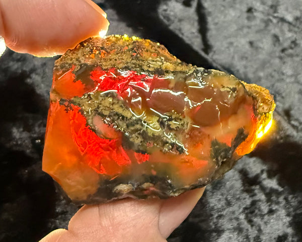 73 Gram Oregon Chocolate Fire Opal Rough