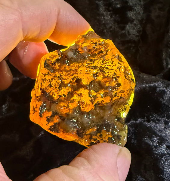 87 Gram Oregon Fire Opal Rough