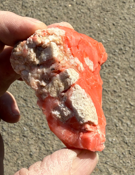 83 Gram Oregon Red Opal Rough