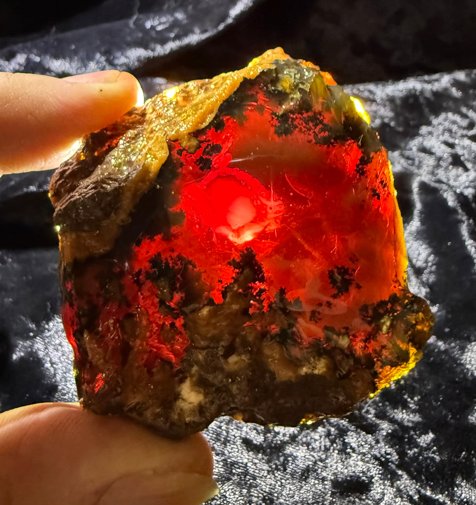 98 Gram Oregon Chocolate Fire Opal Rough