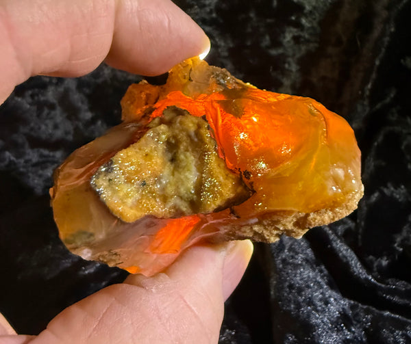146 Gram Oregon Fire Opal Rough