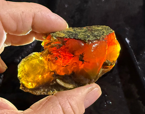 160 Gram Oregon Fire Opal Rough