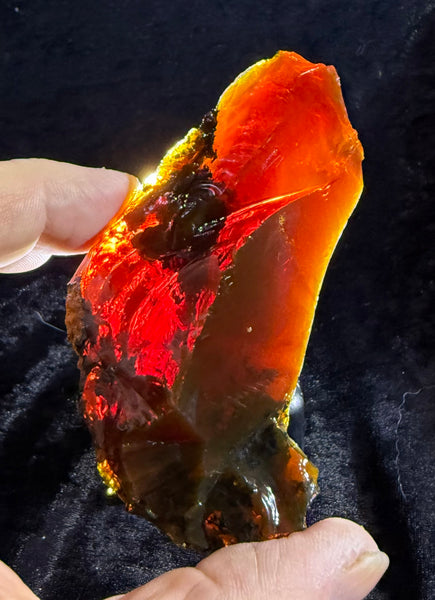 131 Gram Oregon Chocolate Fire Opal Rough