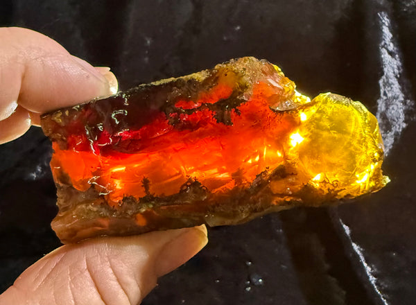 160 Gram Oregon Fire Opal Rough