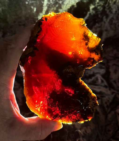 564 Gram Oregon Chocolate Fire Opal Rough