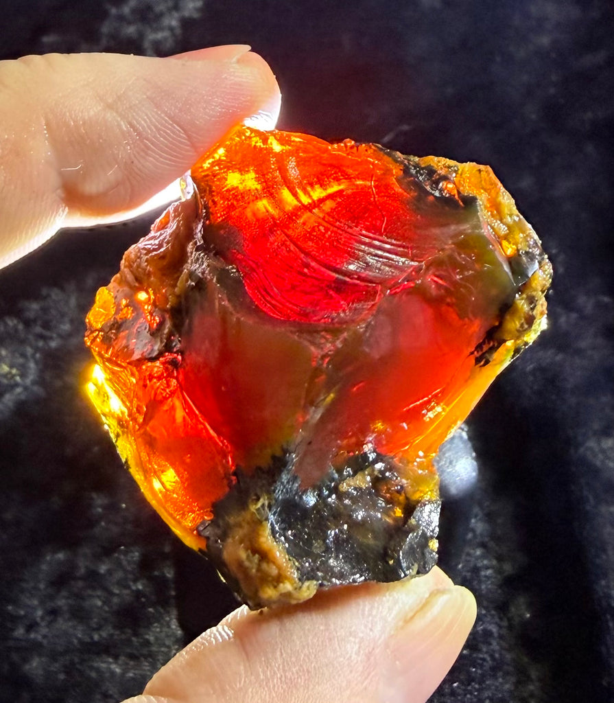 61 Gram Oregon Chocolate Fire Opal Rough
