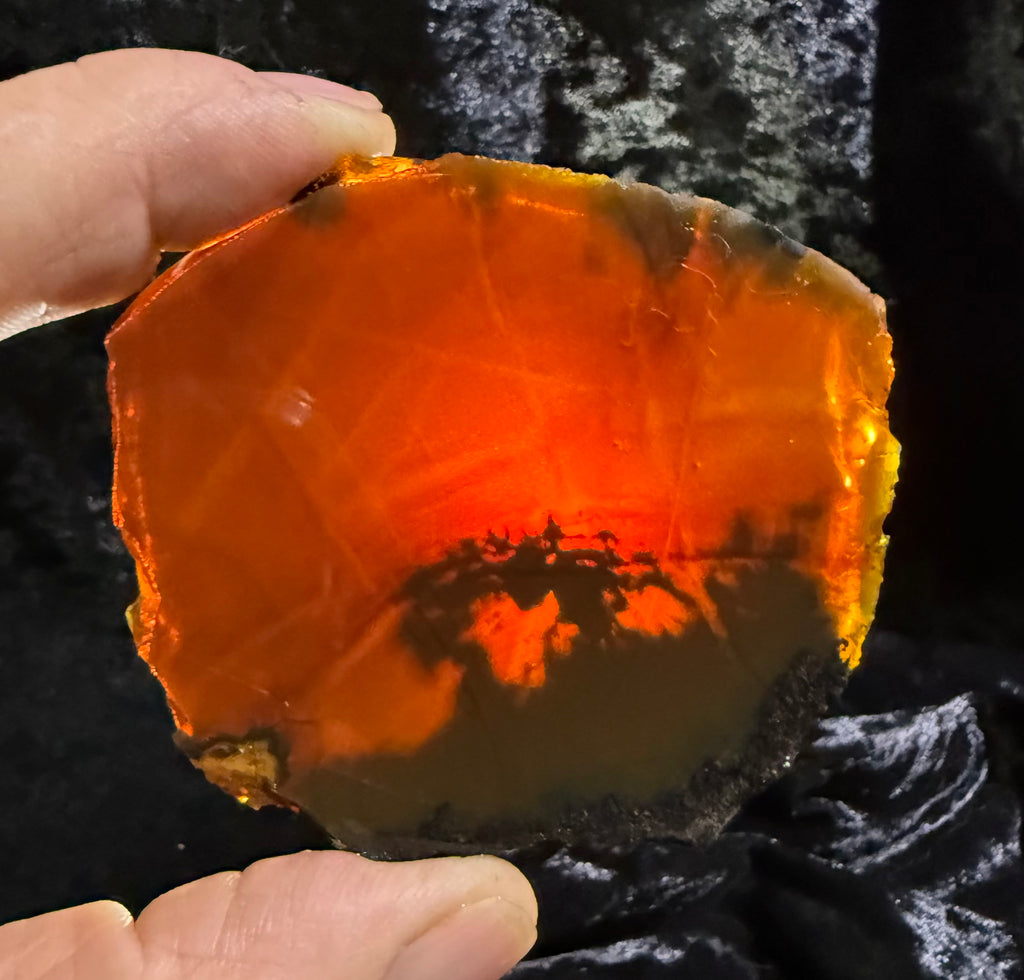 81 Gram Oregon Chocolate Fire Opal Slab