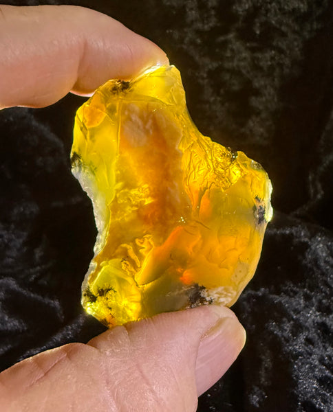 65 Gram Oregon Fire Opal Rough