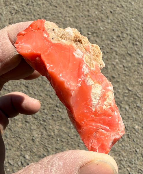 83 Gram Oregon Red Opal Rough