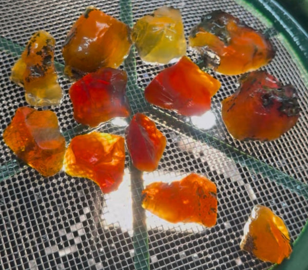 400 Grams of Oregon Fire Opal Rough