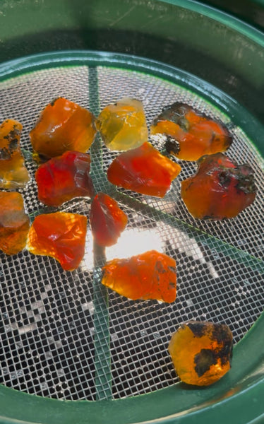400 Grams of Oregon Fire Opal Rough
