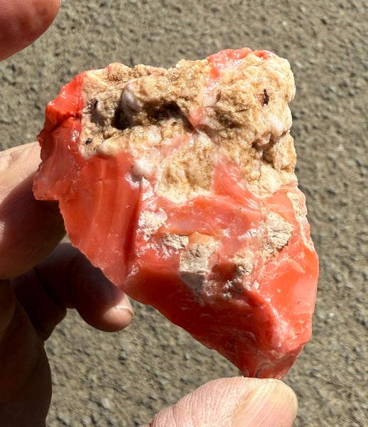 83 Gram Oregon Red Opal Rough