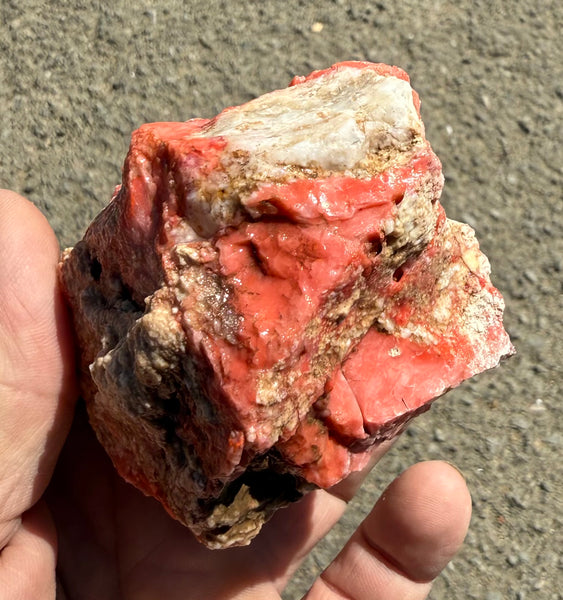 251 Gram Oregon Red Opal Rough
