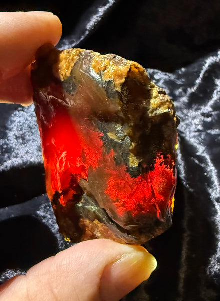98 Gram Oregon Chocolate Fire Opal Rough
