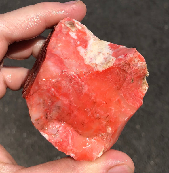 182 Gram Oregon Red Opal Rough