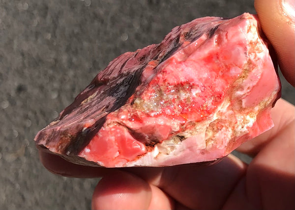73 Gram Oregon Red Opal Rough