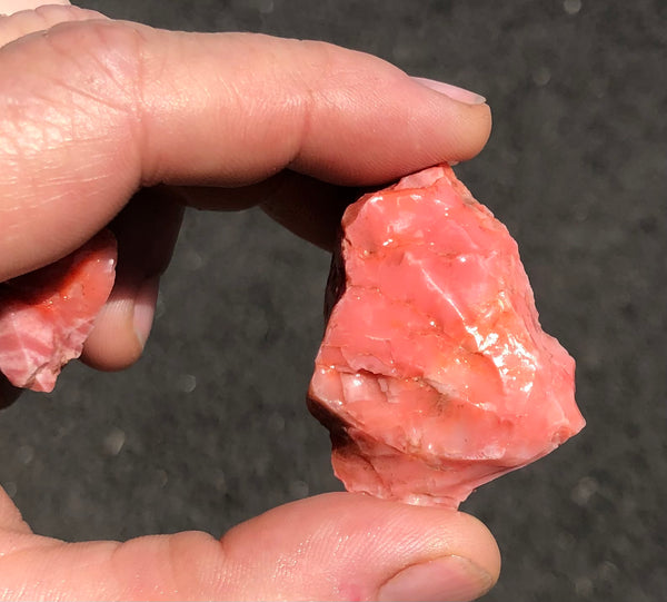 36 Grams of Oregon Red Opal Rough