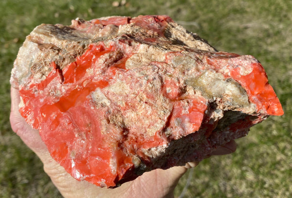 1218 Gram Oregon Red Opal in Rhyolite Specimen