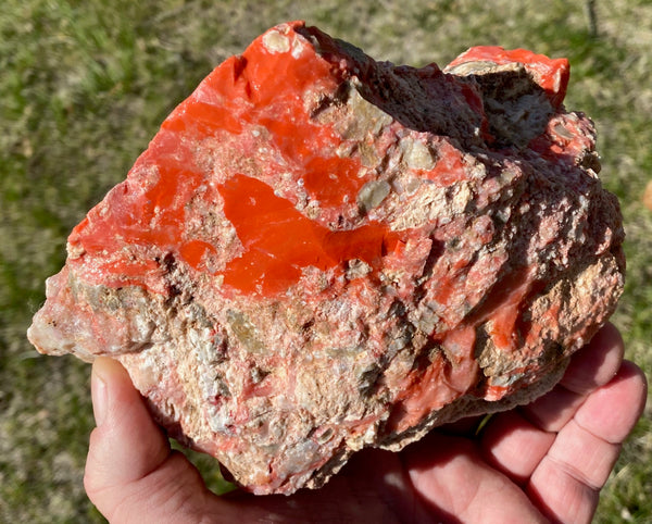 1218 Gram Oregon Red Opal in Rhyolite Specimen