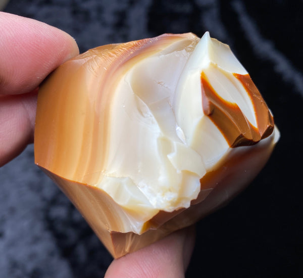 192 Gram Oregon Chocolate, Caramel & White Opal Rough